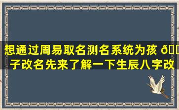 想通过周易取名测名系统为孩 🌾 子改名先来了解一下生辰八字改名的真相！